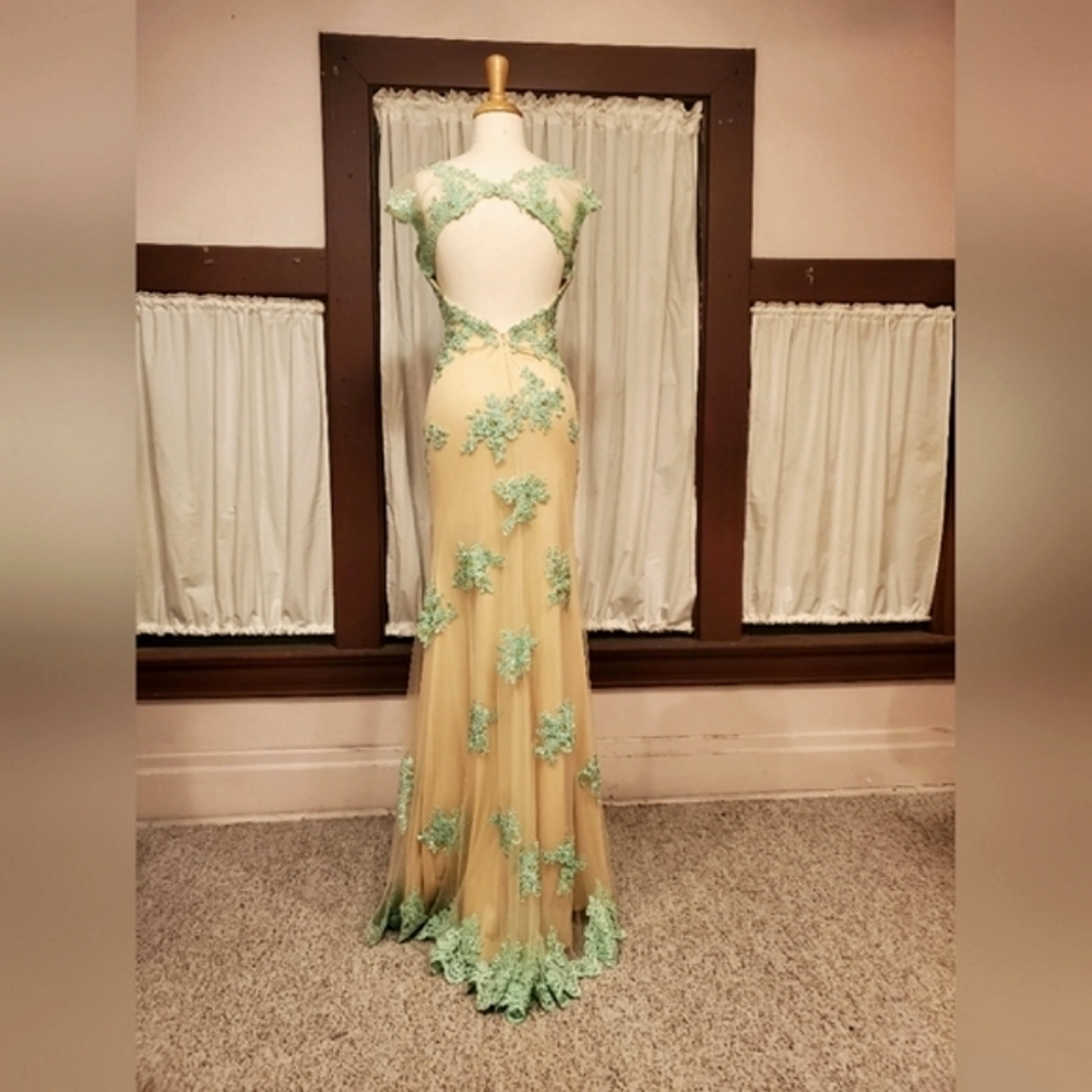 Open Back Gown